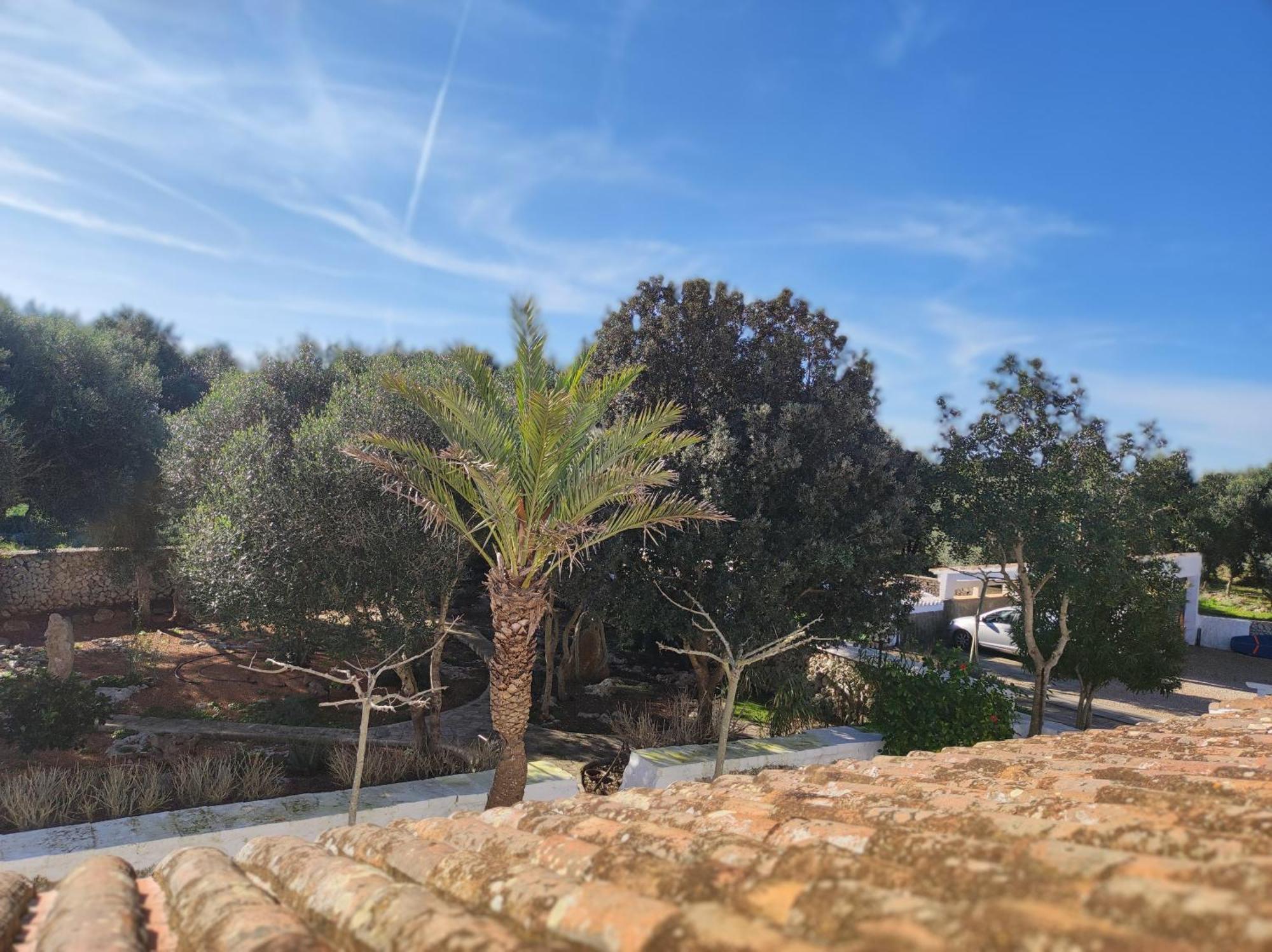 Turismo Rural Biniati Des Pi Sant Lluis Exterior photo